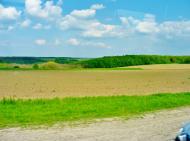 Мурзинці з panoramio.com