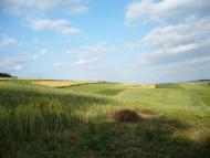 Лани з panoramio.com