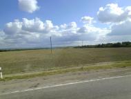 Цвіточне з panoramio.com