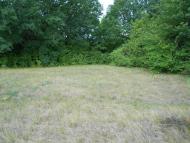 Вергуни з panoramio.com