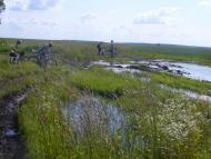 Товстеньке з panoramio.com