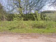 Вигівка з panoramio.com