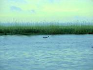 Маяки з panoramio.com