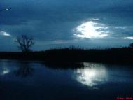 Горошине з panoramio.com