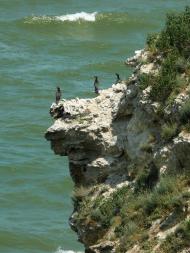 Уварове з panoramio.com