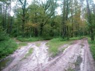 Зазим'я з panoramio.com