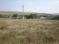 Липове з panoramio.com