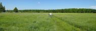 Високопілля з panoramio.com
