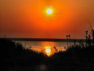 Їжицьке з panoramio.com