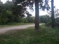 Любовичі з panoramio.com