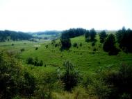 Дем'янківці - Останні фото