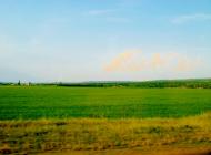 Мурзинці з panoramio.com