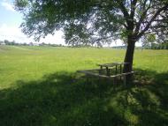 Михля з panoramio.com