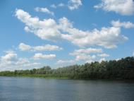 Дігтярівка - Останні фото