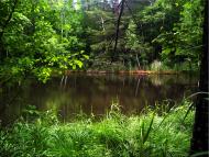 Мартинівка з panoramio.com