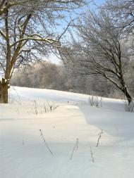 Макіївка з panoramio.com