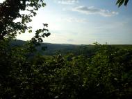 Гамарня з panoramio.com