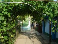 Волошкове з panoramio.com