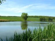 Гвоздьове з panoramio.com