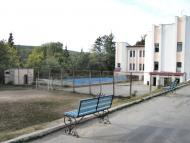 Вербка з panoramio.com