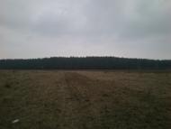 Губичі з panoramio.com