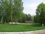 Tynytsya - Latest photos