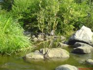 Глибочанське з panoramio.com