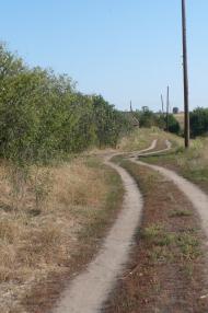 Дмитрівка - Останні фото