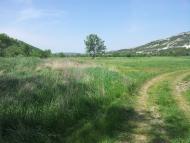 Каштанове з panoramio.com