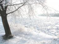 Куковичі з panoramio.com