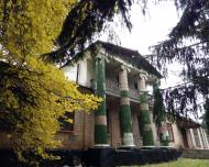 Сінгури з panoramio.com