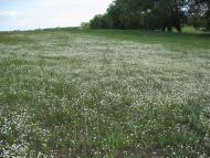 Лозівок з panoramio.com