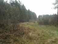 Жиричі з panoramio.com