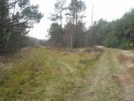 Жиричі з panoramio.com