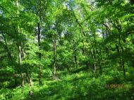 Христове з panoramio.com