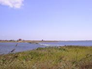 Біленьке з panoramio.com