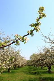 Колодяжне з panoramio.com