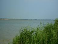 Утконосівка з panoramio.com