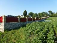 Старий Скалат з panoramio.com