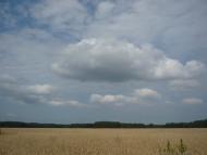 Прохорів з panoramio.com