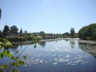 Мирча з panoramio.com