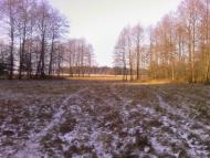 Жиричі з panoramio.com