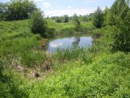 Михля з panoramio.com