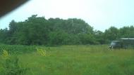 Зелене з panoramio.com