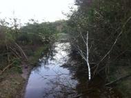 Микуличі з panoramio.com