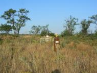 Орлинське з panoramio.com