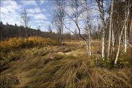 Великий Суходіл з panoramio.com