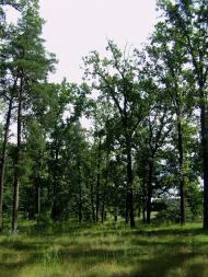 Свеса з panoramio.com