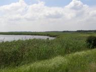 Скалонівка з panoramio.com