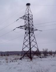 Шульгинка з panoramio.com